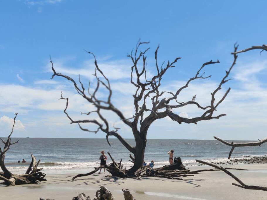 Villa Jekyll Island House/ Kellys On The Coast /King Bed Esterno foto